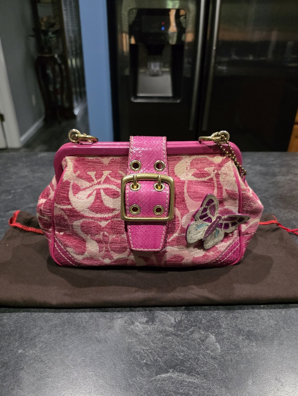 Vintage Coach Purse